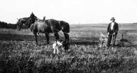 Un paysan pose avec sa charrue tirée par deux chevaux.  - Centre (37)  - 1920