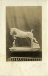 Sculpture d'un cheval franchissant un obstacle sculpt� par le baron de Curzay  - Curzay-sur-Vonne (86)  - 1910