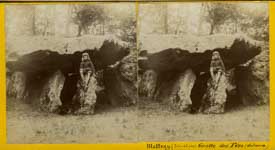 Le dolmen de la grotte des f�es  - Mettray (37)  - 1885