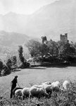 Septembre 1909, ruines du chteau Sainte-Marie avec au  premier plan un troupeau de moutons gard par un berger  - Luz-Saint-Sauveur (65)  - 1909
