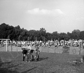 Un jeu de vachette dans une arène improvisée d'un village près de Chateauroux  - Chateauroux (36)  - 1948