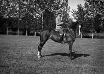 Portrait equestre  - Limoges - 1920