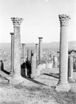 Les ruines de la ville romaine  - Algrie (Timgad)  - 1930