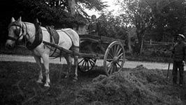 Un homme ramasse du foin pour le mettre dans une charrette conduite par son enfant et traînée par son cheval.  - Loches (37)  - 1910