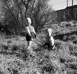 Des jumeaux se promnent dans leur jardin avec les mmes pulls  - Provins (77)  - 1947