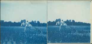 Labourrage dans un champ de Normandie  - 1860