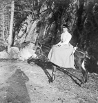 Jeune fille assise en amazone sur un ne, sur un chemin de montagne, ombre du photographe  - 1900